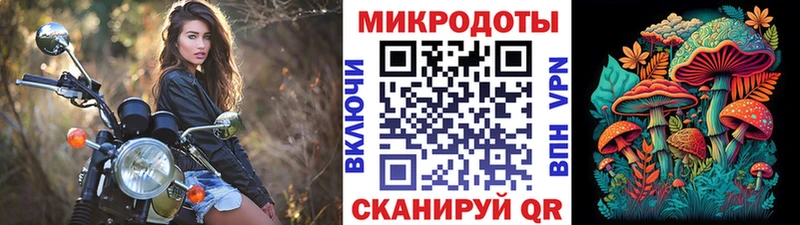 Купить  Кондрово  Галлюциногенные грибы Psilocybe 