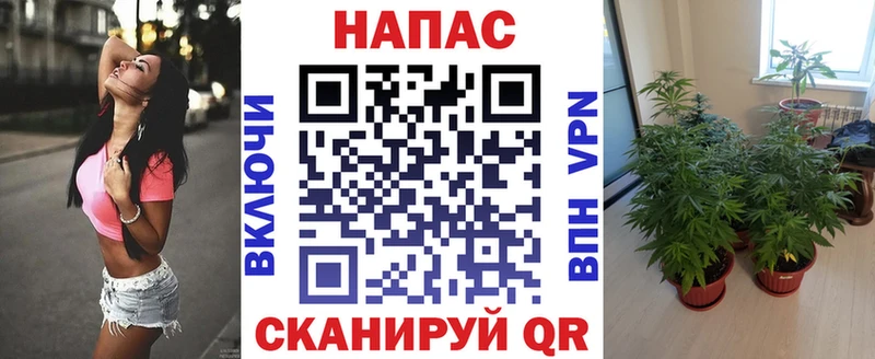 Купить  Кондрово  МАРИХУАНА Ganja 